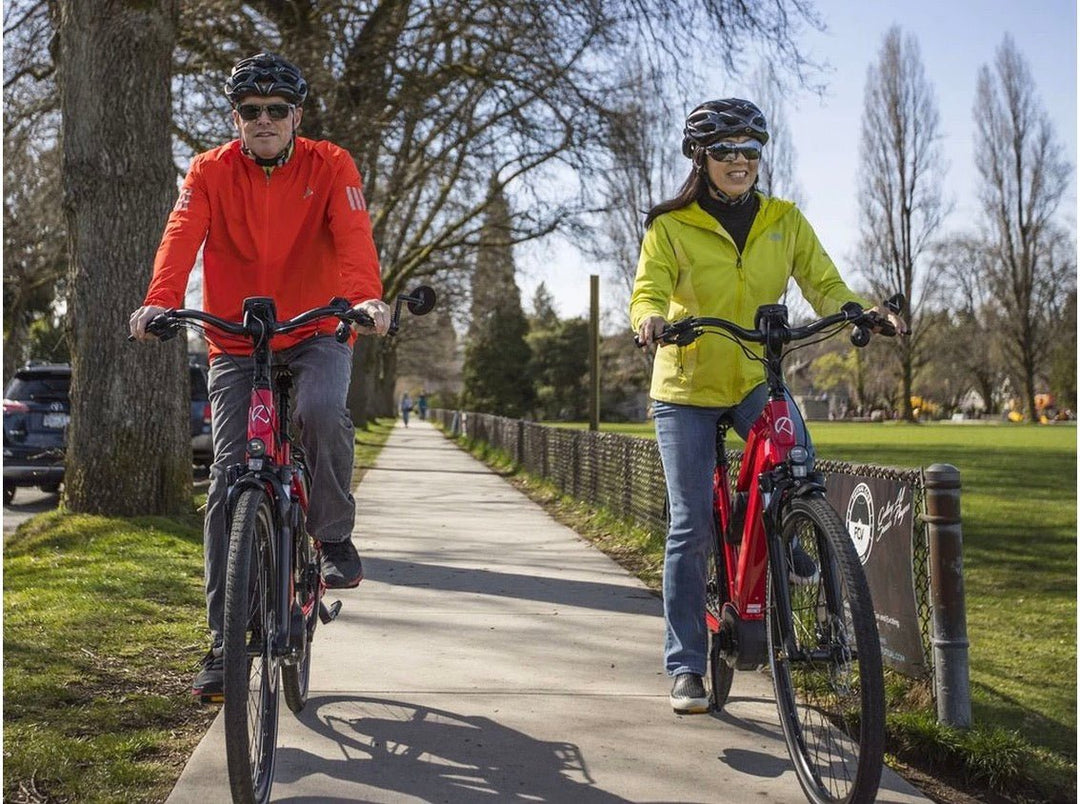 THE RISING POPULARITY OF ELECTRIC BIKES - eBike Haul