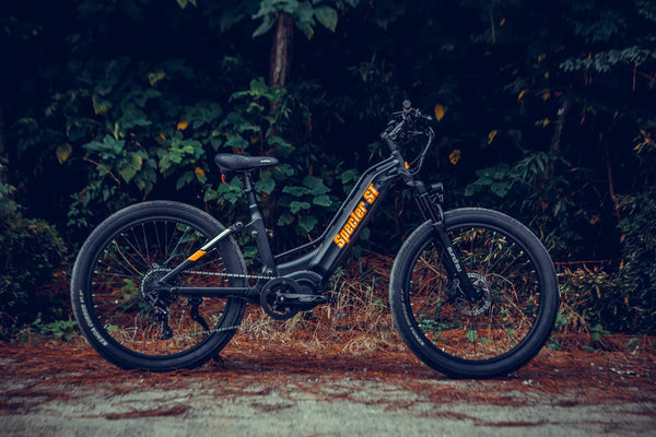 Mountain Electric Bike - eBike Haul