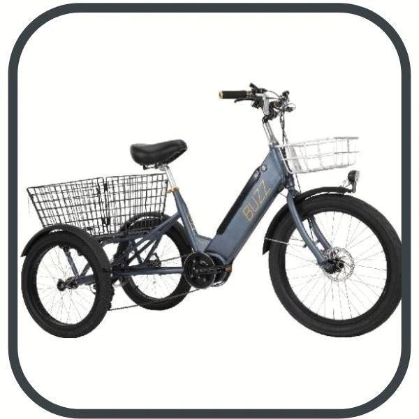 Fat Tire Electric Trikes - eBike Haul