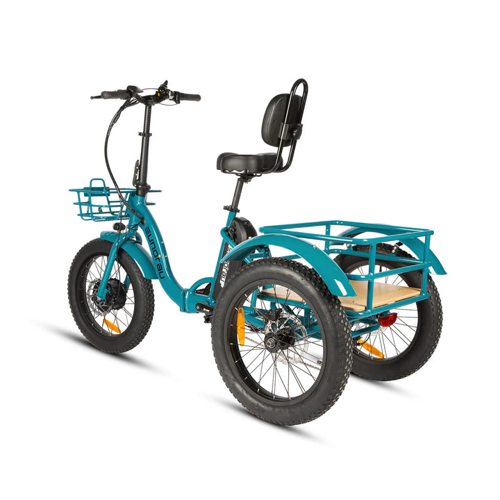 Eunorau| New-Trike 2.0|48V 20Ah,100-Mile Range 440LBS Foldable E-Trike - EBike Haul