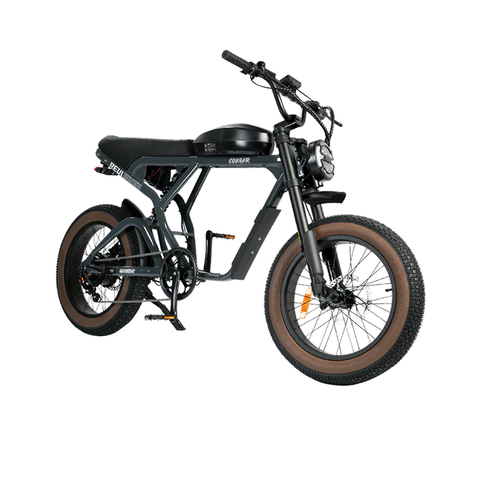 REVI BIKES| Cougar Full Suspension Vintage Electric Bike