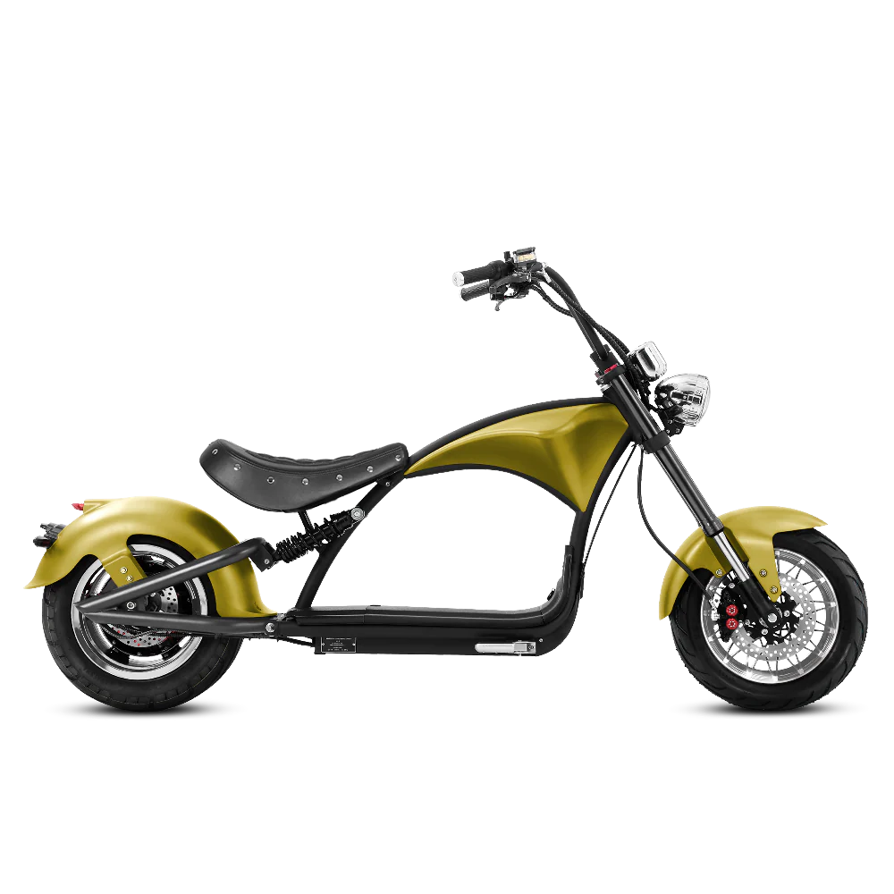 Eahora| Emars M1P Fat Tires,Hydraulic Brakes Moped-Style E-Scooter - EBike Haul