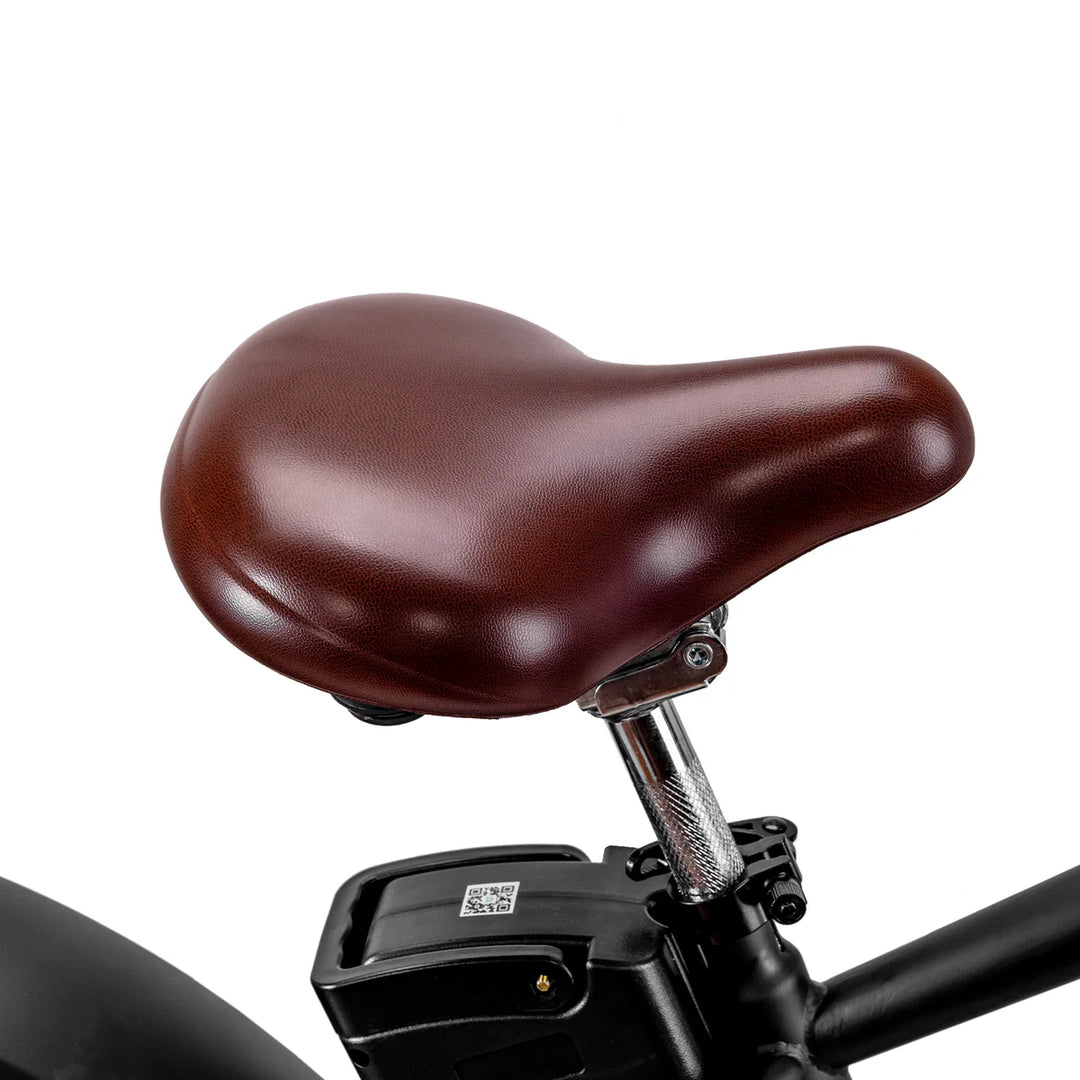 Nakto Cruiser 2| 750W Motor, 48V 12Ah Battery Electric Fat Tire Bike - EBike Haul