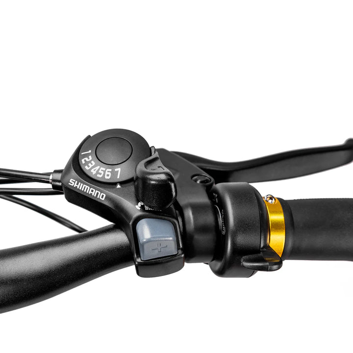 Nakto Cruiser 2| 750W Motor, 48V 12Ah Battery Electric Fat Tire Bike - EBike Haul