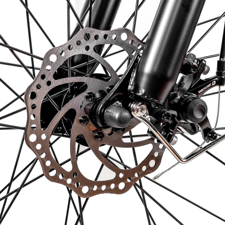 Nakto Cruiser 2| 750W Motor, 48V 12Ah Battery Electric Fat Tire Bike - EBike Haul