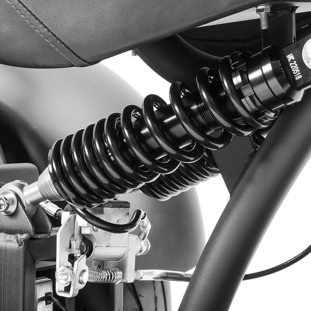 Eahora |M1P 2000W, 60V 30Ah 40MPH Trike Electric Chopper Motorcycle