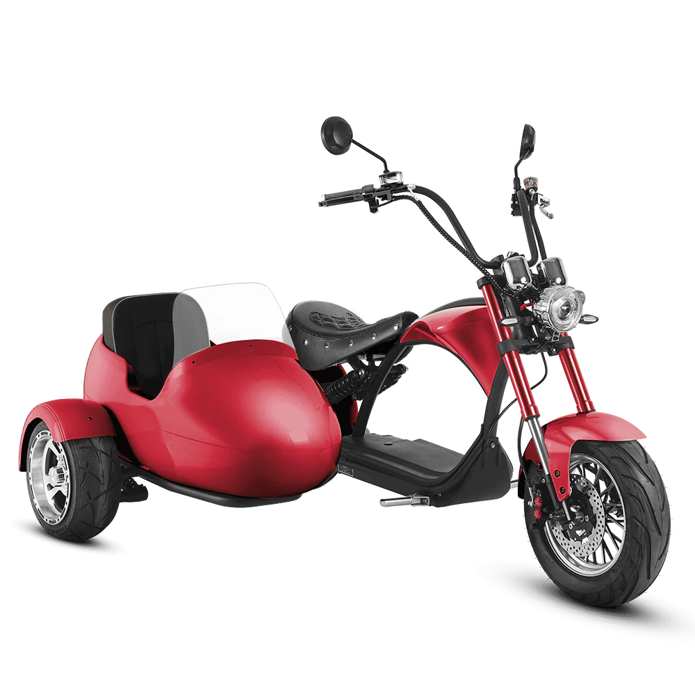 Eahora| M1P + Sidecar Moped-Style E-Scooter