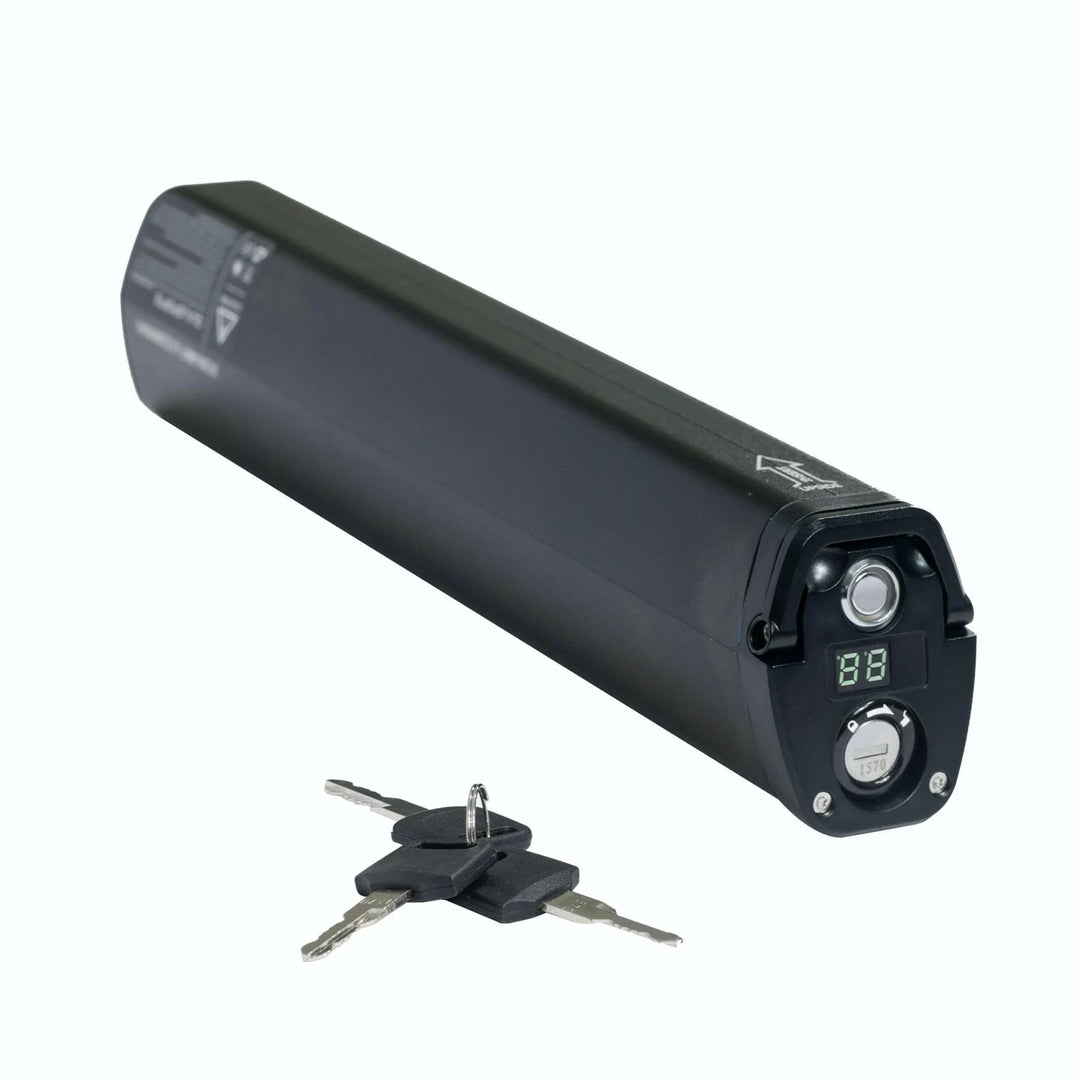 Qualisports|48V 7AH Samsung Battery for Dolphin & Beluga STD/PLUS
