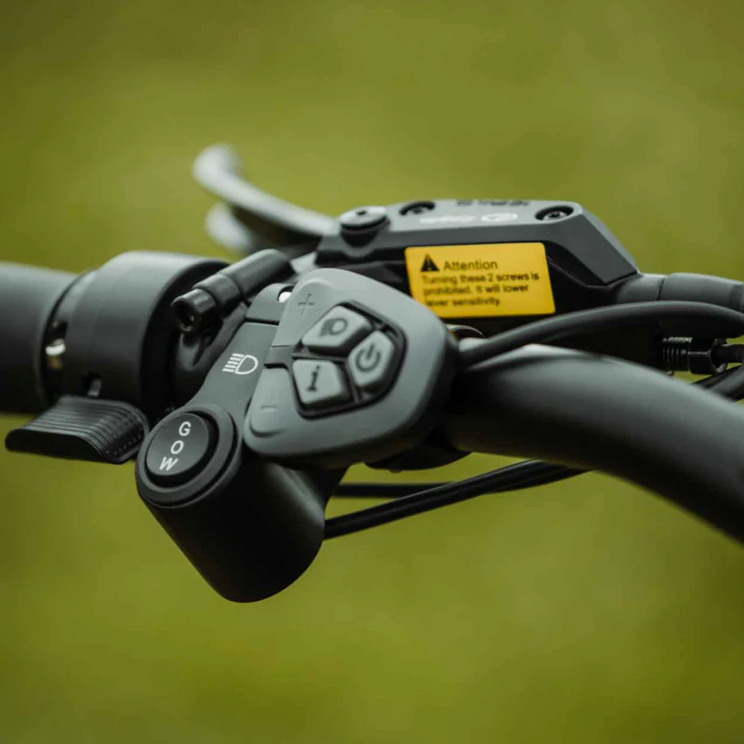 RAMBO Rebel 2.0| 48V 15Ah LG Battery,Quiet Mid-Drive Motor Electric Bike - EBike Haul