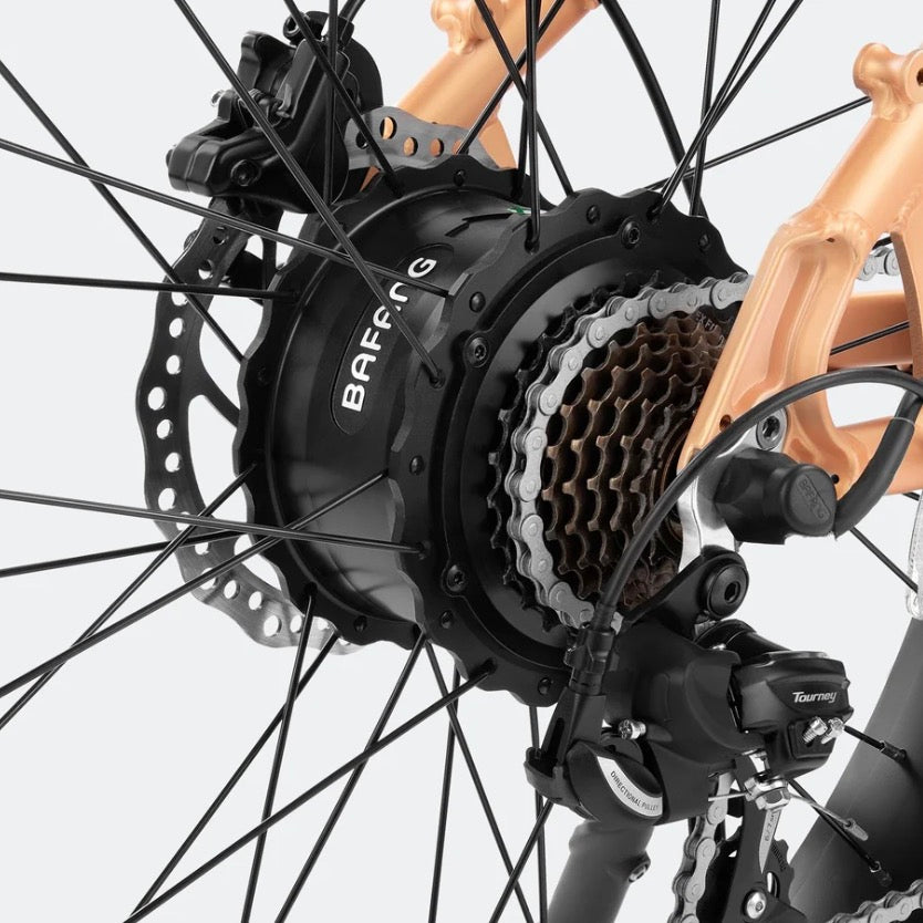 Velowave|Rover 750W Step Thru Fat Tire Electric Bike - EBike Haul