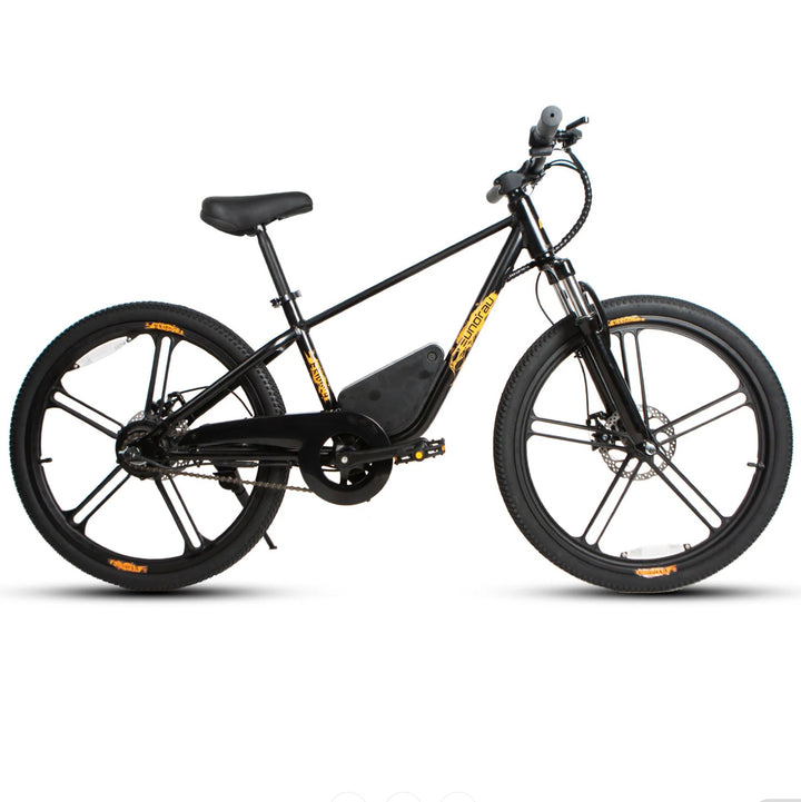 Eunorau| EKIDS-24, 24" Wheels, 250W Motor, 15.5 MPH Safe & Easy E-Bike - EBike Haul