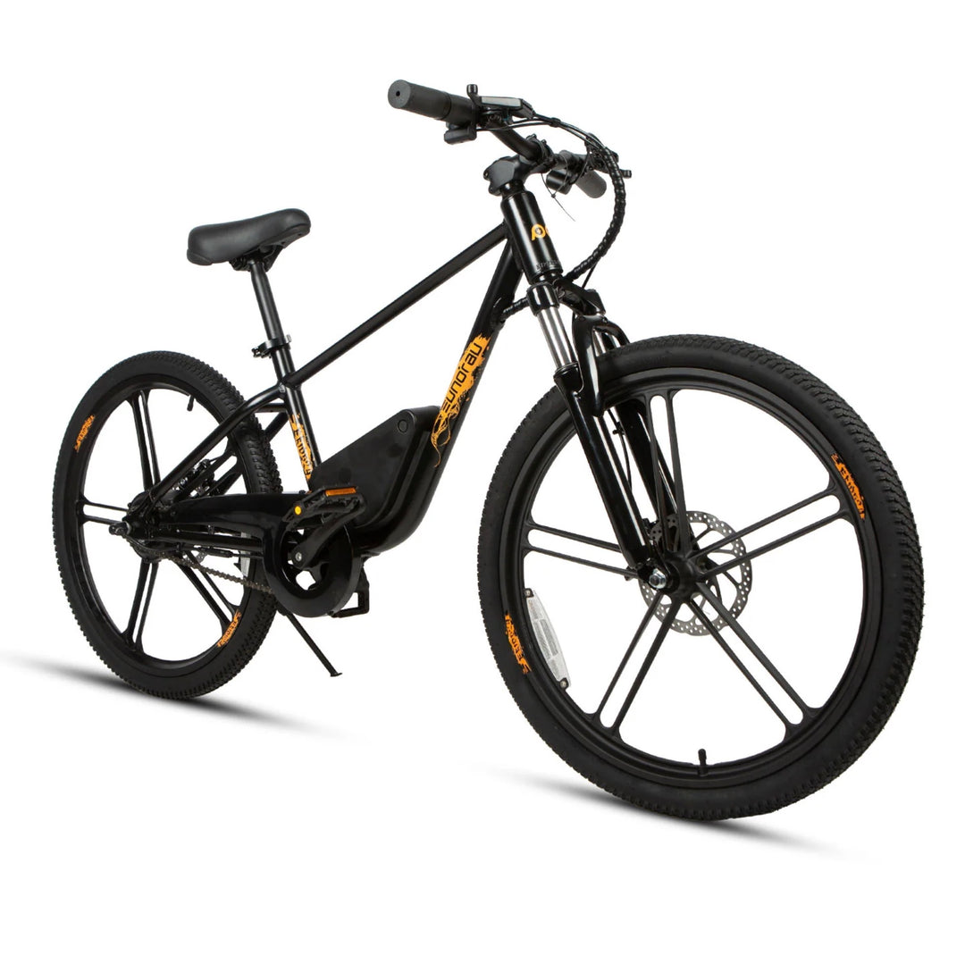 Eunorau| EKIDS-24, 24" Wheels, 250W Motor, 15.5 MPH Safe & Easy E-Bike - EBike Haul