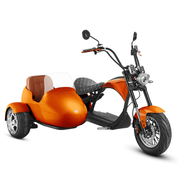 Eahora| M1P + Sidecar Moped-Style E-Scooter
