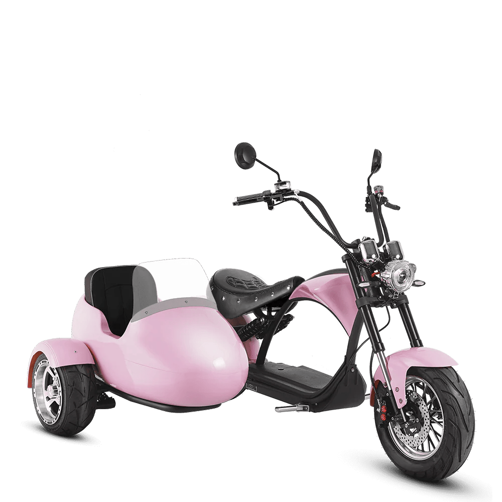 Eahora| M1P + Sidecar Moped-Style E-Scooter