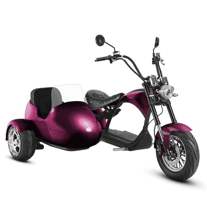 Eahora| M1P + Sidecar Moped-Style E-Scooter