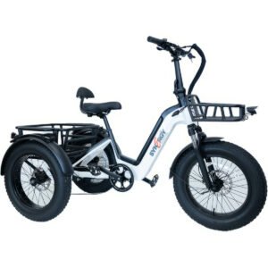 Synergy TRIAD E-Trike
