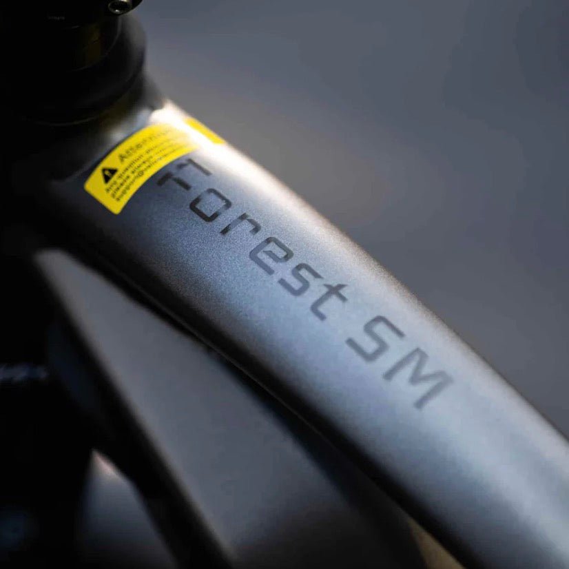 Velowave|Forest SM MTB Mountain Electric Bike - EBike Haul