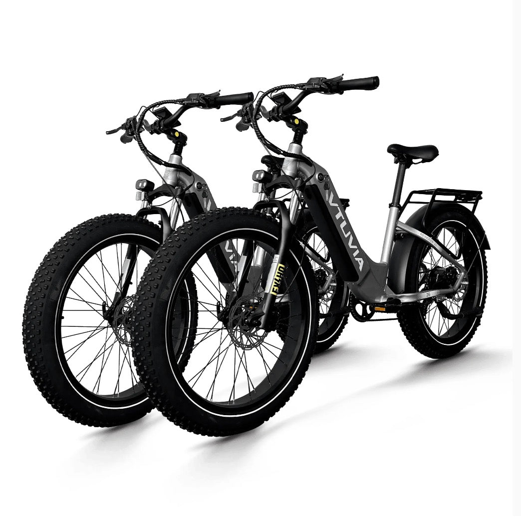 VTUVIA| Reindeer 2.0 All-Terrain Fat Tire 750W Combo - EBike Haul