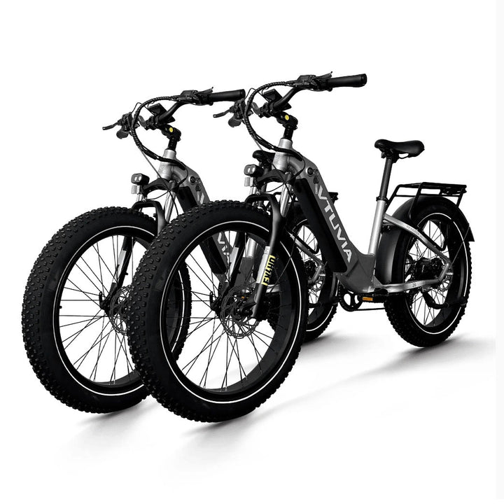 VTUVIA| Reindeer 2.0 All-Terrain Fat Tire 750W Combo - EBike Haul