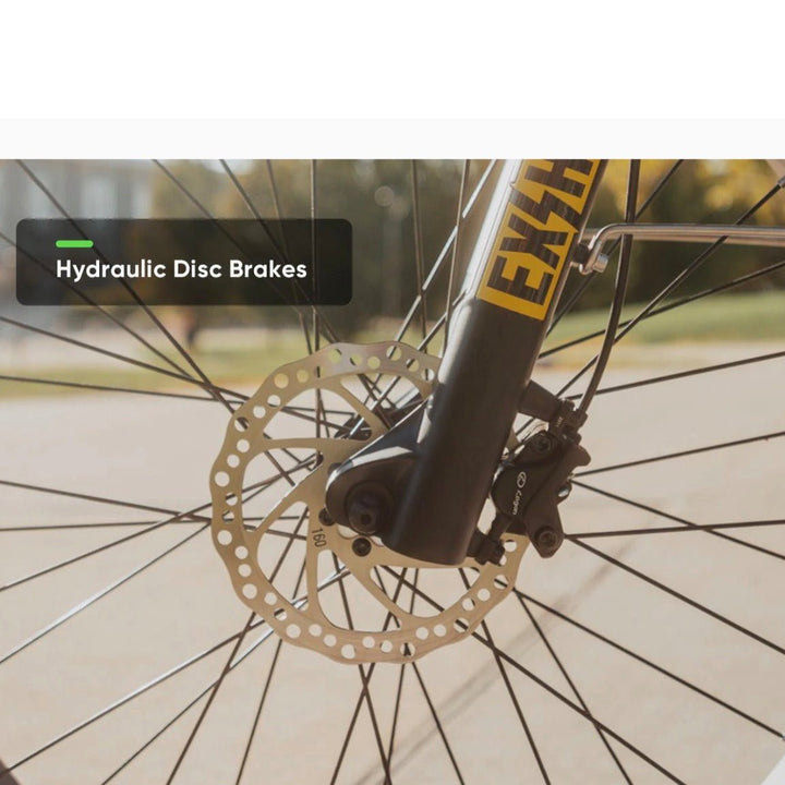 VTUVIA| SN100 Fat Tire Electric Bike | 750W, All-Terrain, Hunting Ebike - EBike Haul