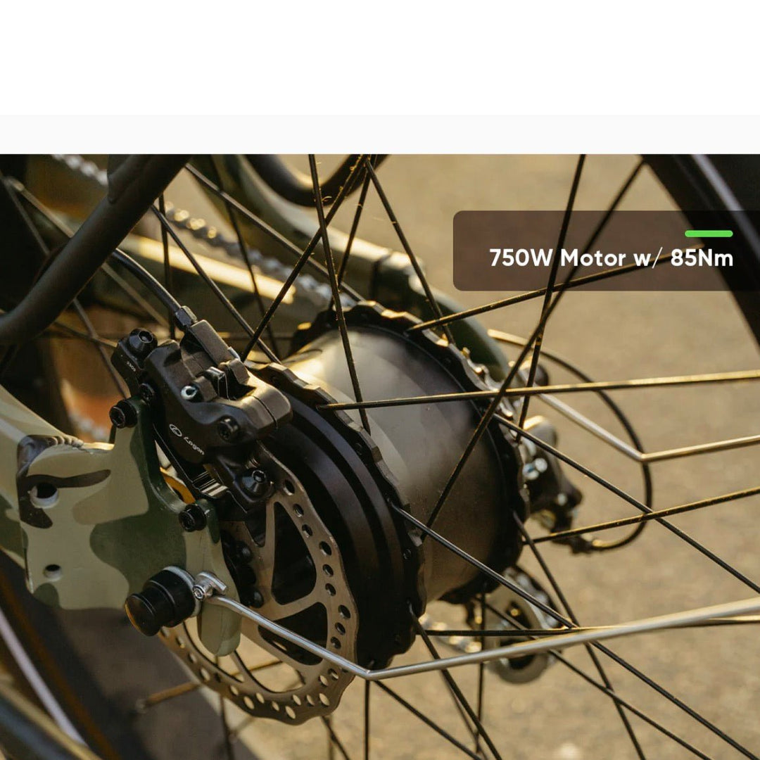 VTUVIA| SN100 Fat Tire Electric Bike | 750W, All-Terrain, Hunting Ebike - EBike Haul