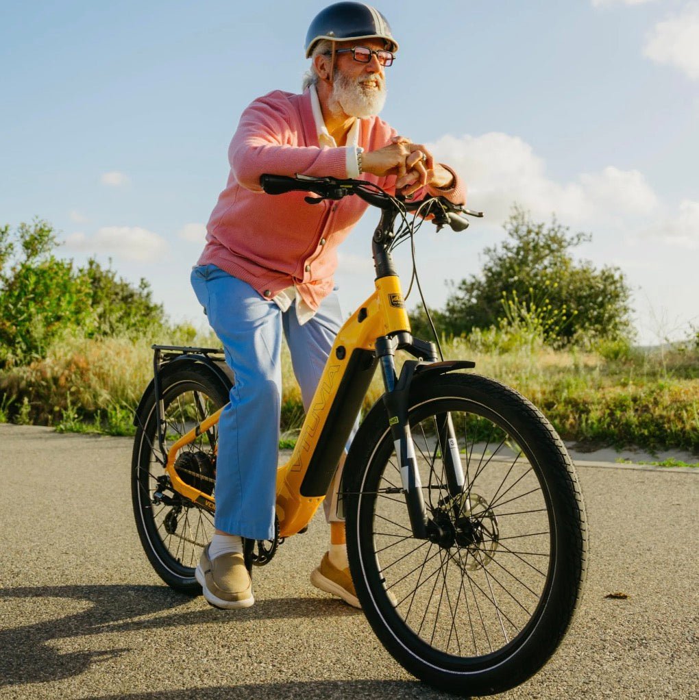 VTUVIA| Zeal LT7 500W Torque Sensor,70-Mile Range Step-Through E-Bike - EBike Haul