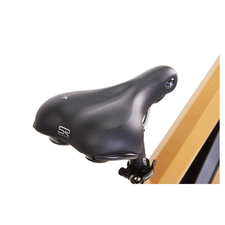 BIKONIT BIKONIT|WARTHOG HD750 Fat Tire All-Terrain Hub Drive Hunting & Fishing Electric Bike - eBike Haul