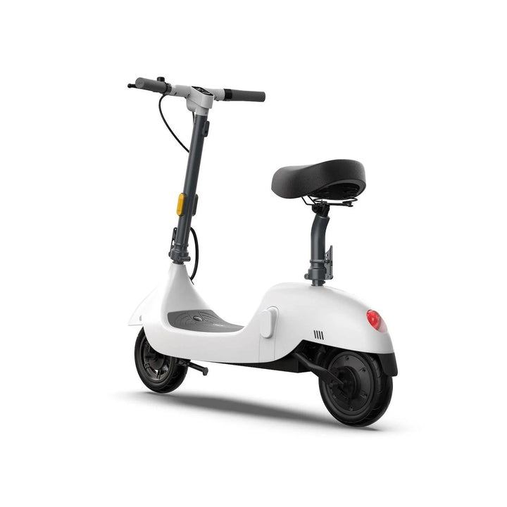 OKAI BEETLE EA10 One-of-a-Kind Electric Stand Up Scooter - eBike Haul