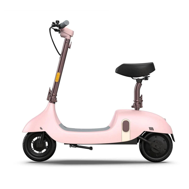 OKAI BEETLE EA10 One-of-a-Kind Electric Stand Up Scooter - eBike Haul