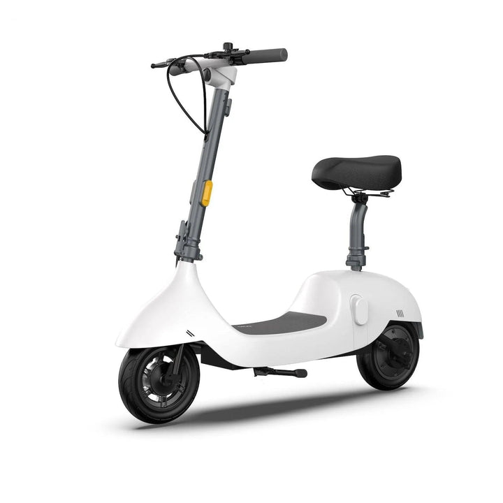 OKAI BEETLE EA10 One-of-a-Kind Electric Stand Up Scooter - eBike Haul