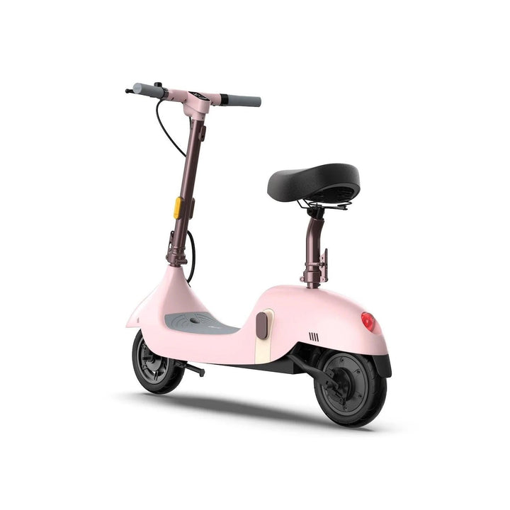 OKAI BEETLE EA10 One-of-a-Kind Electric Stand Up Scooter - eBike Haul