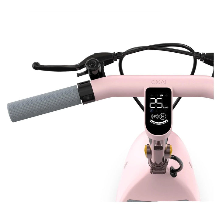 OKAI BEETLE EA10 One-of-a-Kind Electric Stand Up Scooter - eBike Haul