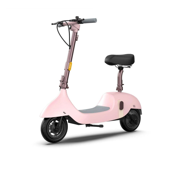 OKAI BEETLE EA10 One-of-a-Kind Electric Stand Up Scooter - eBike Haul