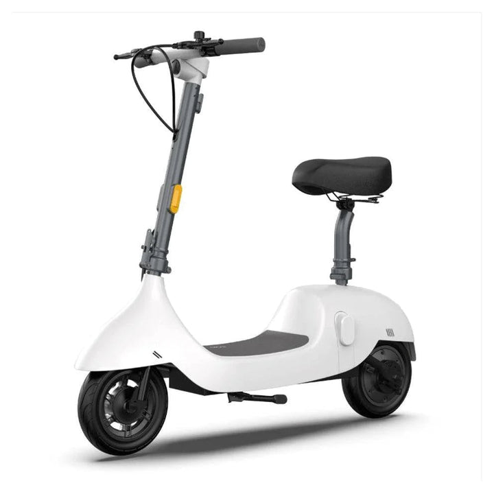 OKAI BEETLE EA10 One-of-a-Kind Electric Stand Up Scooter - eBike Haul