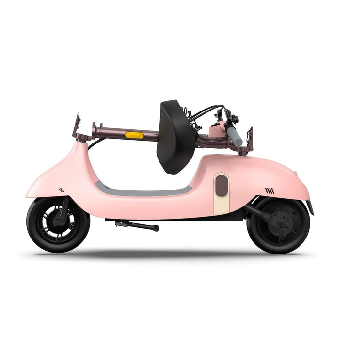 OKAI BEETLE EA10 One-of-a-Kind Electric Stand Up Scooter - eBike Haul