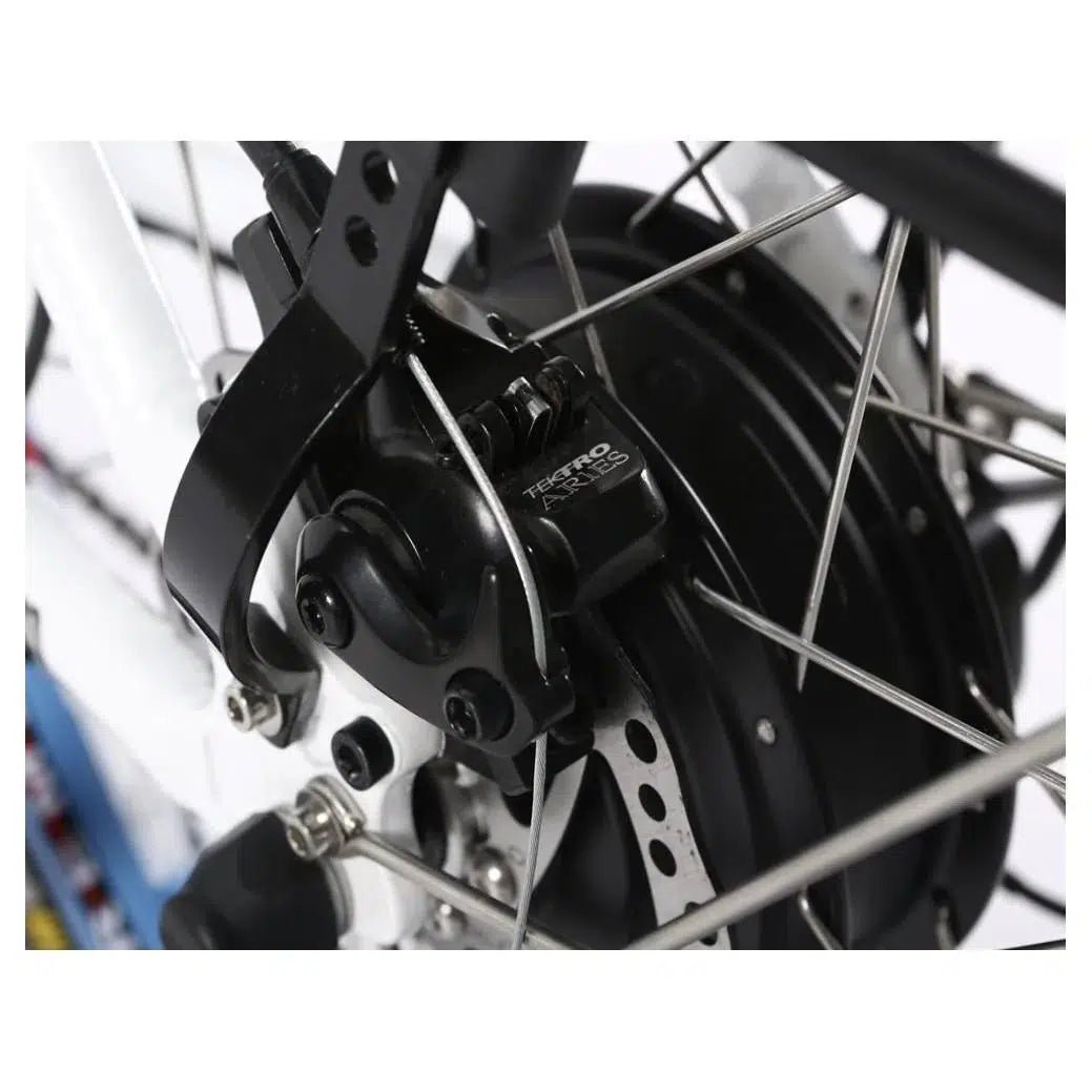 X-Treme Catalina Step-Through Beach Cruiser 48 Volt Lithium Powered Electric Bike - eBike Haul