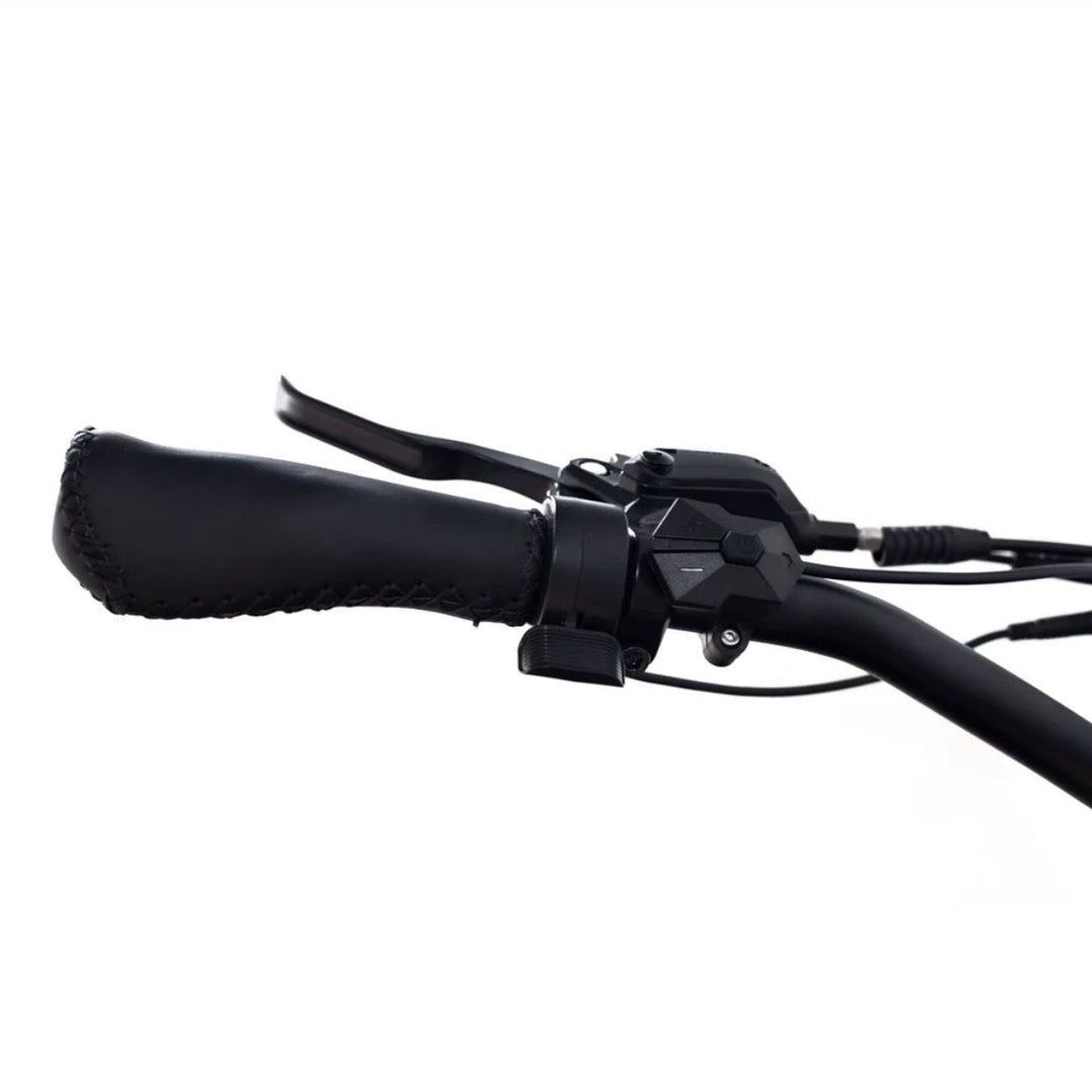 Coastal Cruiser Coastal Cruiser| Step Over 24x3 - 52v Beach Cruiser Electric Bike - eBike Haul