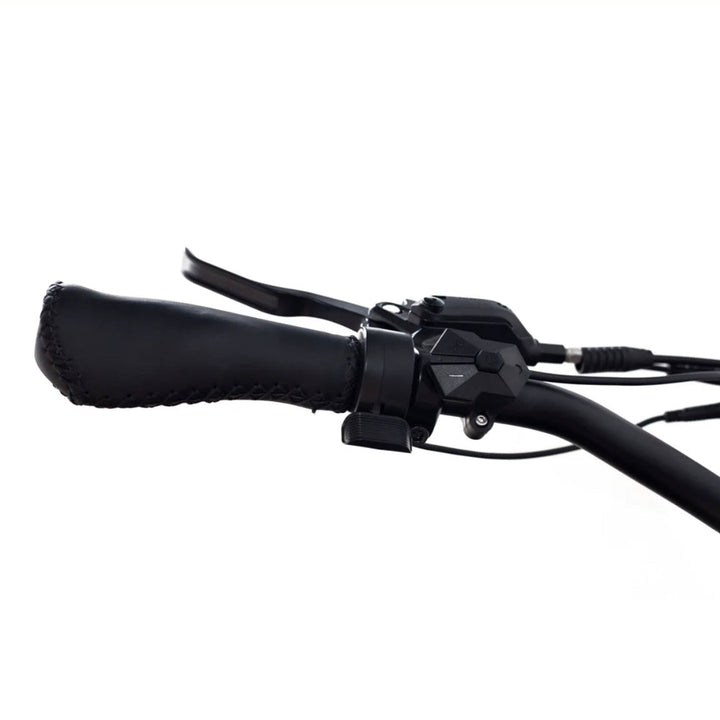 Coastal Cruiser Coastal Cruiser| Step Over 24x3 - 52v Beach Cruiser Electric Bike - eBike Haul