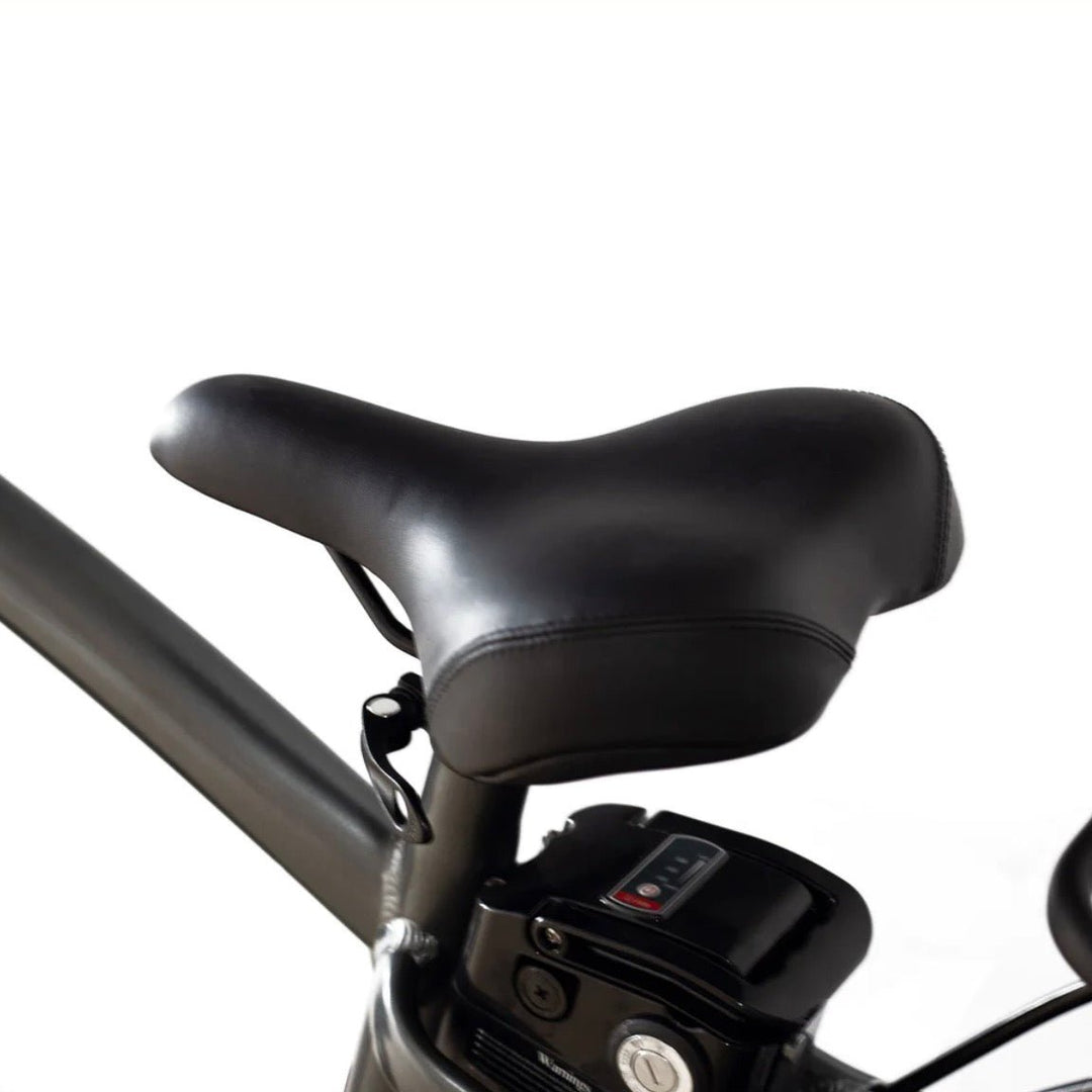 Coastal Cruiser Coastal Cruiser| Step Over 24x3 - 52v Beach Cruiser Electric Bike - eBike Haul