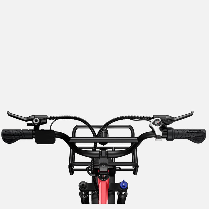 ENGWE ENGWE L20|960W Peak Power 48V 13AH Step Thru Electric Bike - eBike Haul