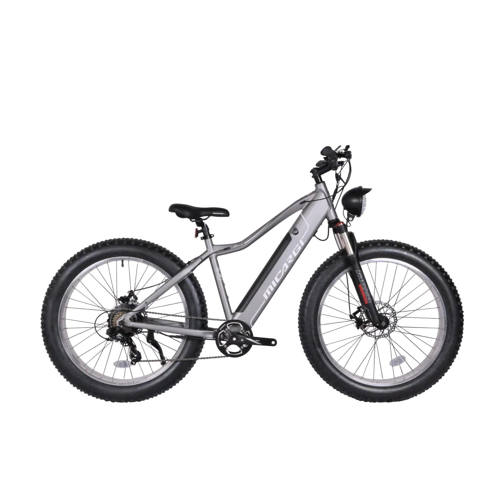 Micargi 800 Watt Steed Electric Mountain Bicycle eBike Haul