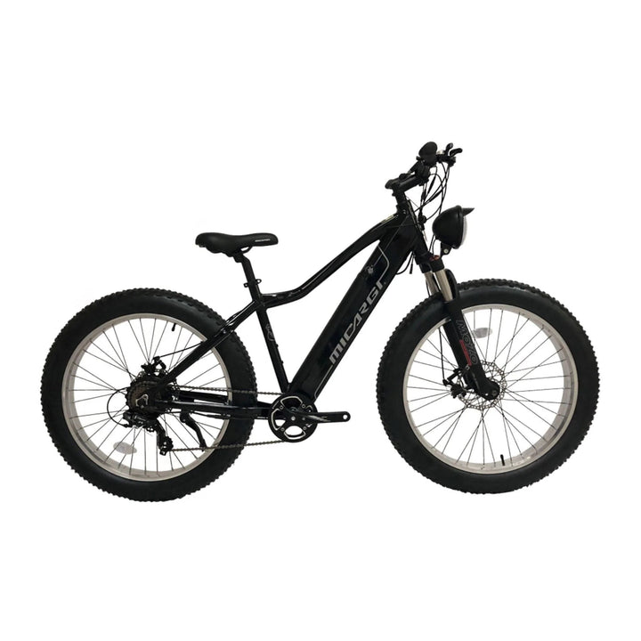 Micargi Micargi| 800 Watt Steed Electric Mountain Bicycle - eBike Haul
