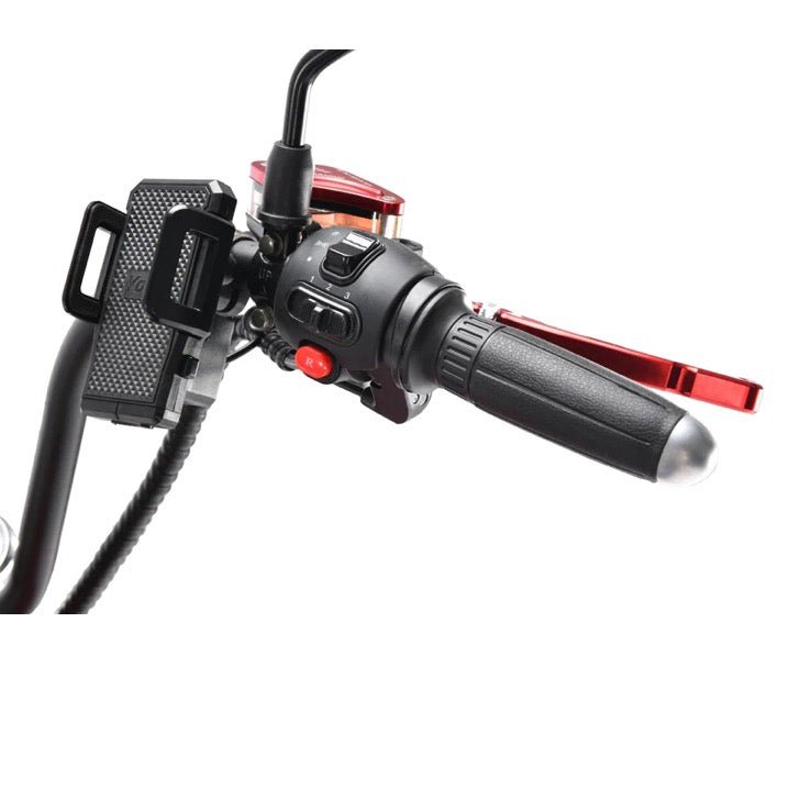 SoverSky SoverSky| M3 2000W Electric Fat Tire Scooter Chopper Citycoco - eBike Haul