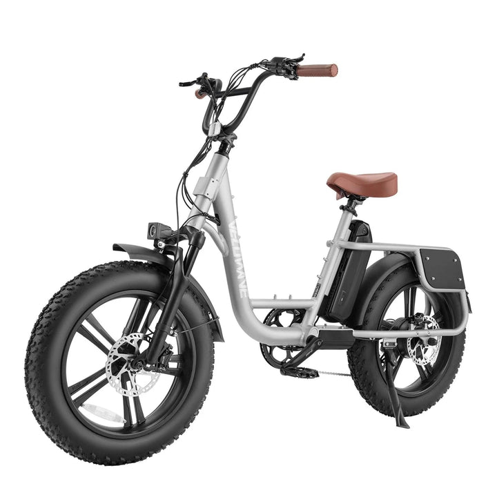 VELOWAVE VELOWAVE|PRADO S2.0 750W Commuter Fat Tire Electric Bike - eBike Haul