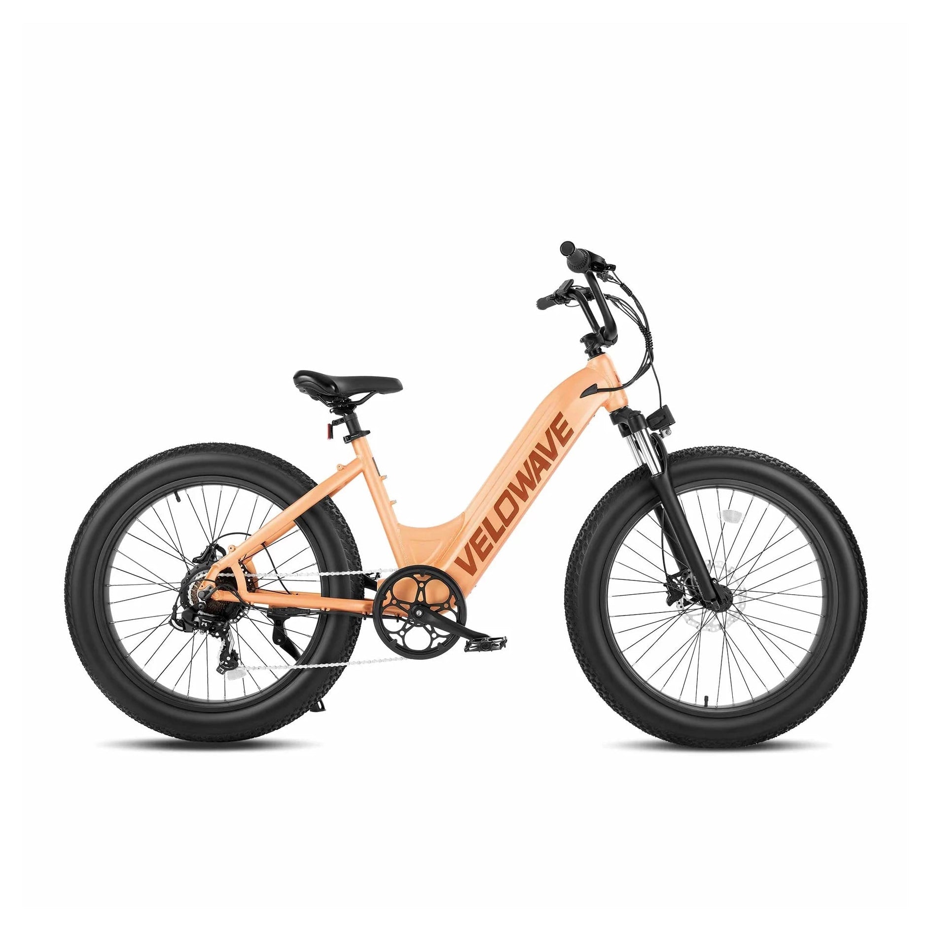 Rover electric bike sales