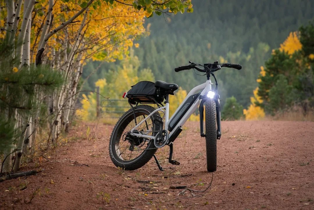 Step-Through vs. Step-Over E-Bikes: What's the Difference and Which Should You Choose? - eBike Haul