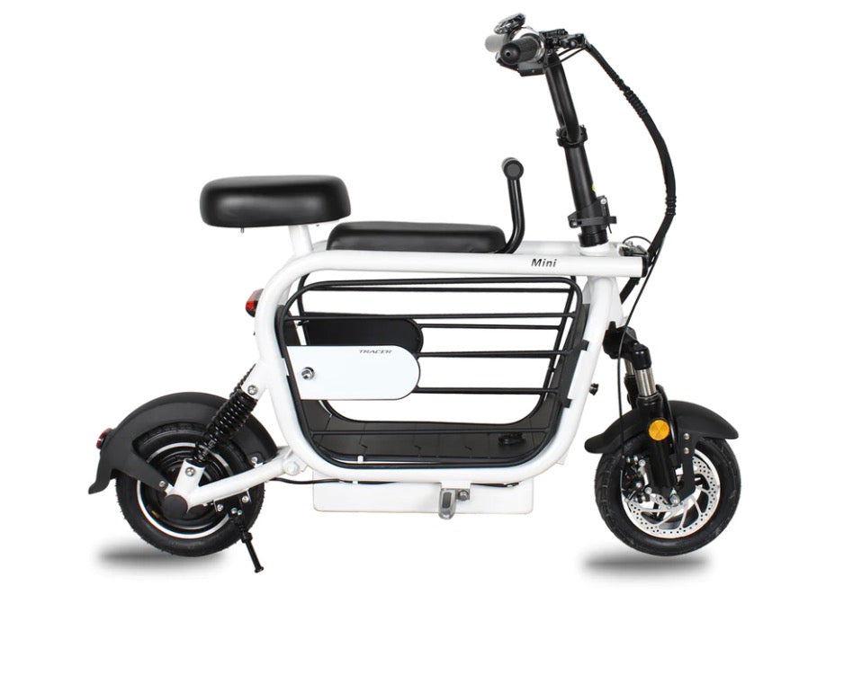 2 Passenger Scooters - eBike Haul