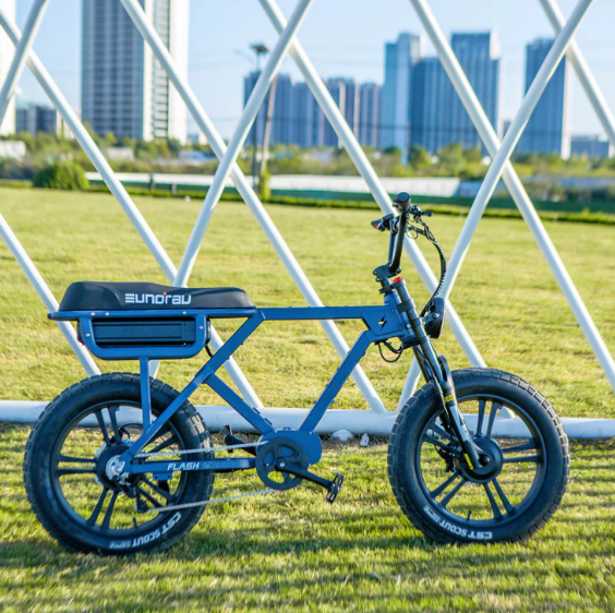EUNORAU AWD Electric Bikes