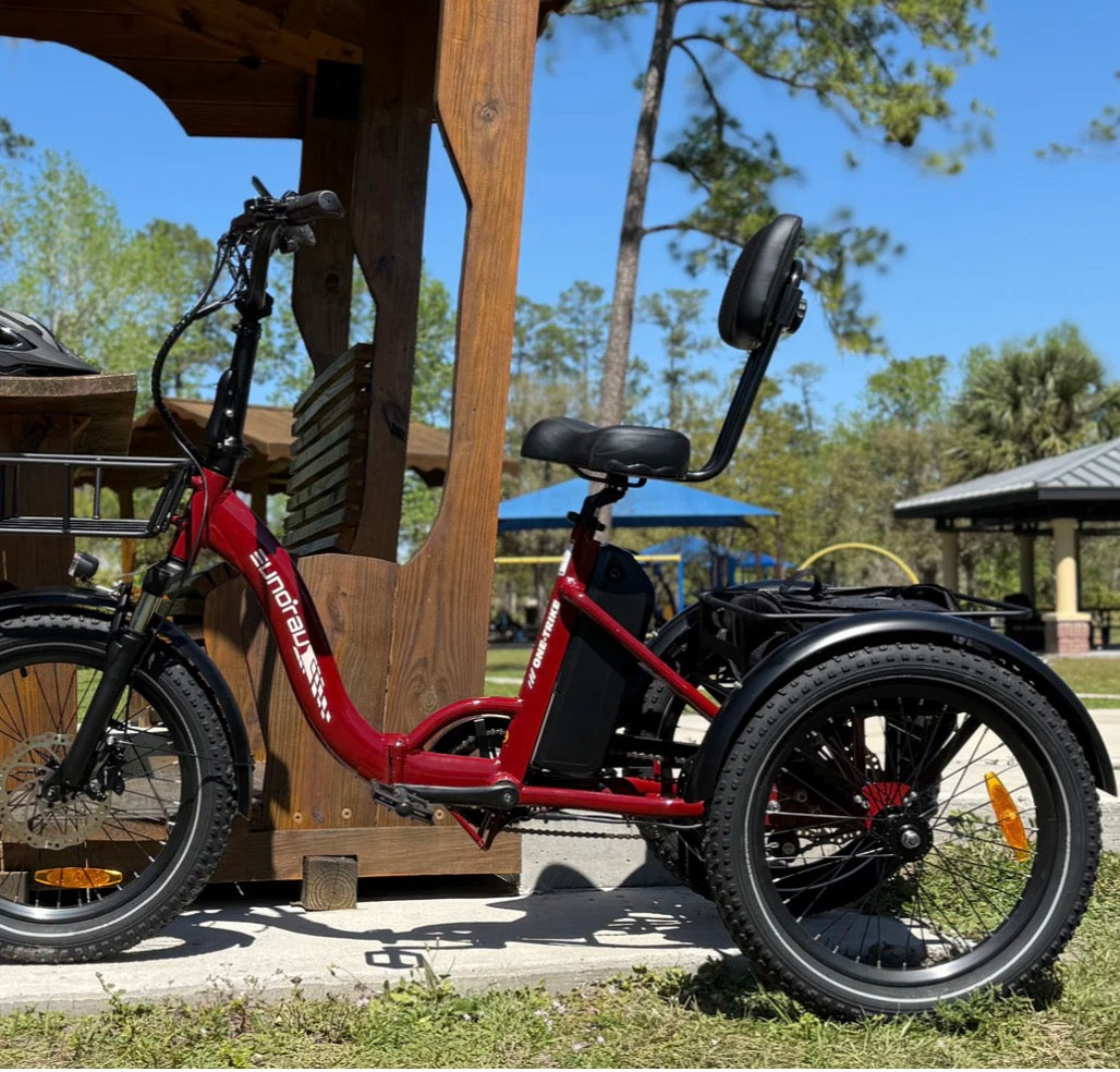 EUNORAU Electric Trikes