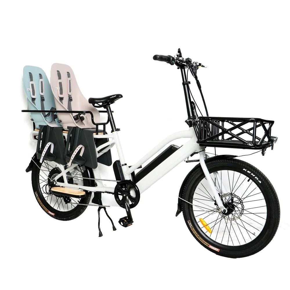 Cargo Bikes - eBike Haul